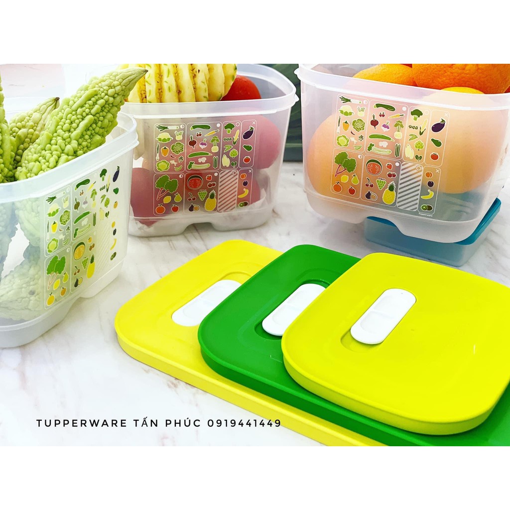 Lẻ hộp trữ mát Vensmart 800ml 1.8L 4.4L 6.1L Tupperware