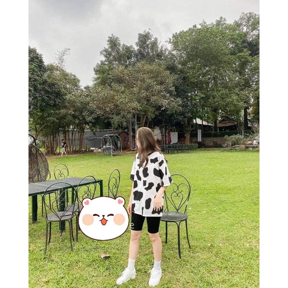 Sét áo phông bò sữa + quần legging ngố HARI0421