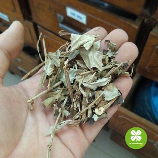 Lá khổ sâm (1kg) - TD189