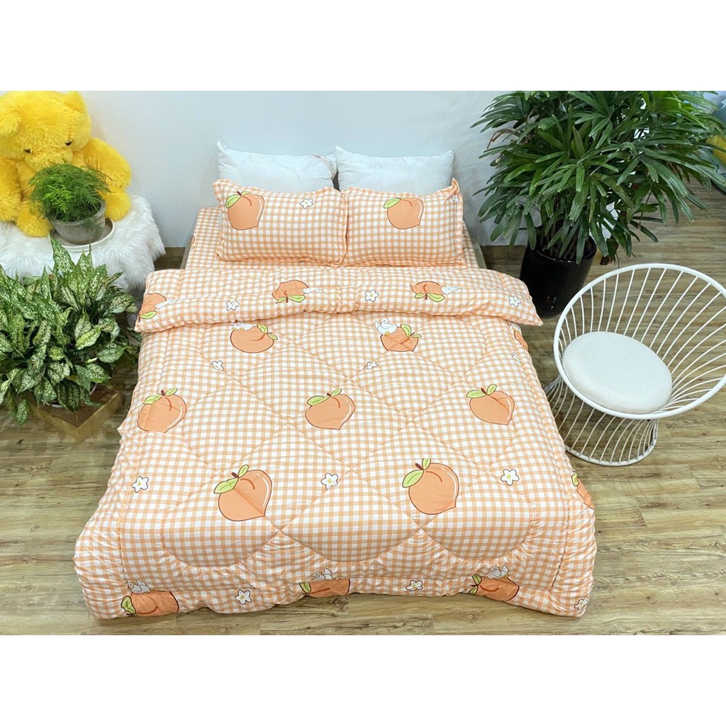 Bộ chăn phao ga gối poly cotton Emmidecor các mẫu hot