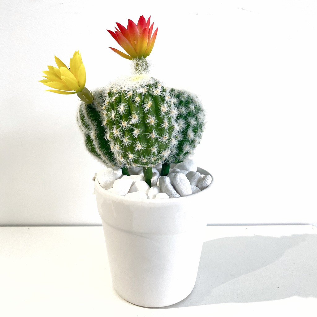 Cây giả Decor - Chậu xương rồng mini Decor Trang trí