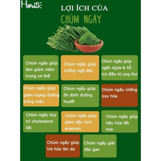 [MoriS] Bột chùm ngây sấy lạnh 100gr