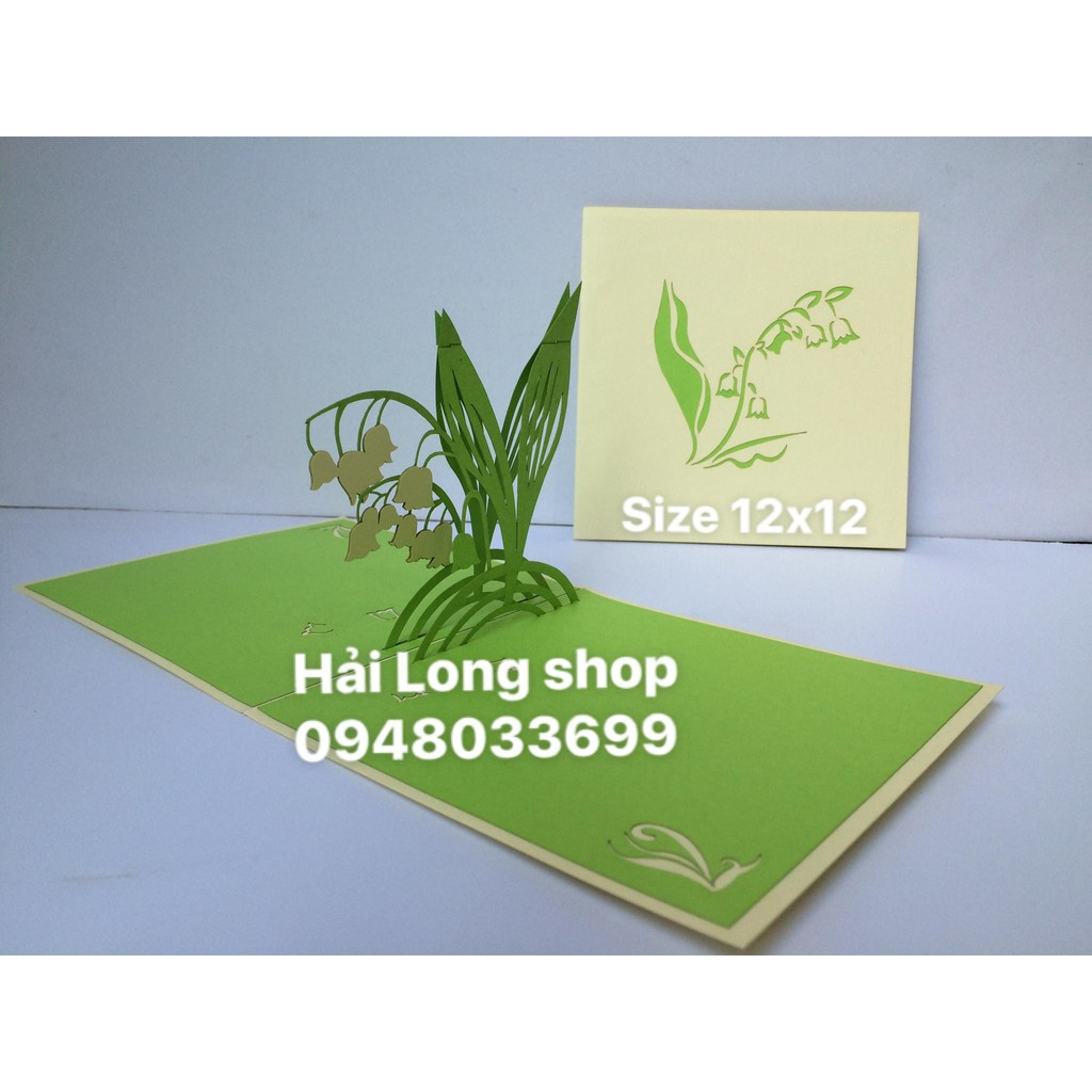 Hoa Lan - Orchid - Flower - Thiệp 3D | BigBuy360 - bigbuy360.vn