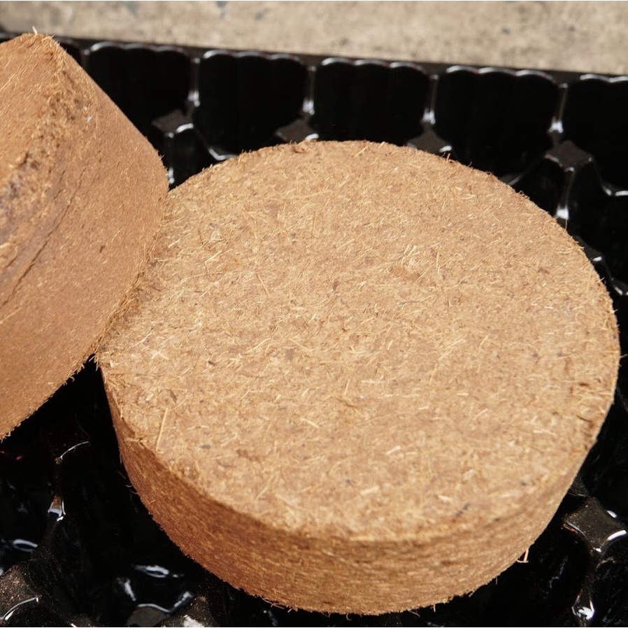 Viên nén mụn dừa cục to 0.5kg ☘️, Nở ra 1 viên trồng đủ 1 chậu lớn