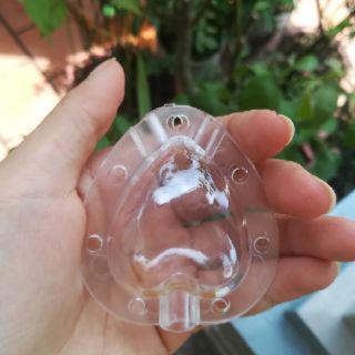 Khuôn tạo hình cho dâu tây