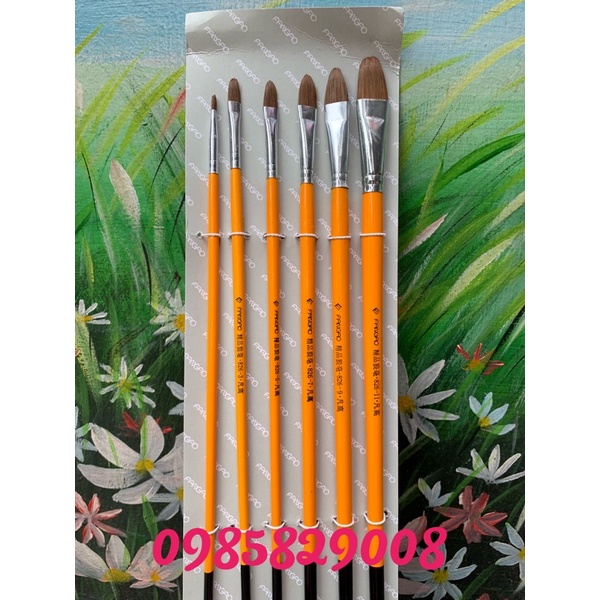 Bộ bút cán vàng 6 chiếc vẽ acrylic,sơn dầu