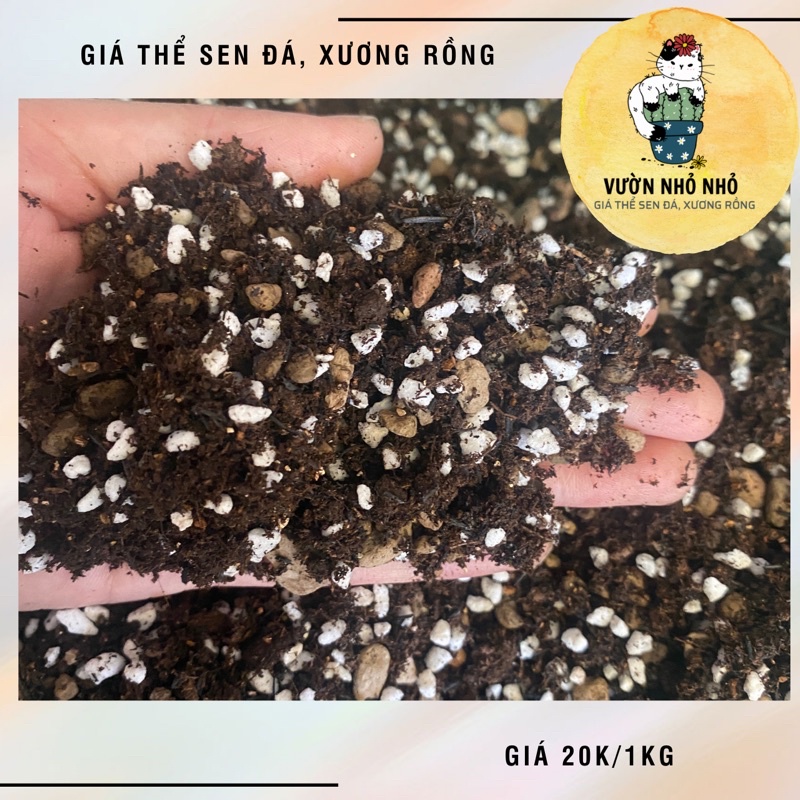 1kg Giá thể , Đất trồng sen đá, xương rồng, lithops, cây cảnh cần thoáng rễ đã trộn sẵn loại Tiết kiệm