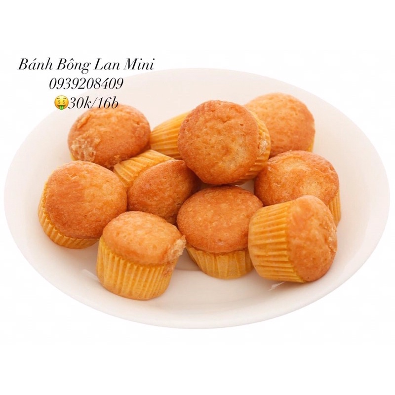 Bánh Bông Lan Mini/16 bánh