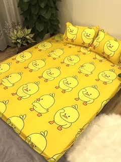 Set ga gối chăn phao poly cotton
