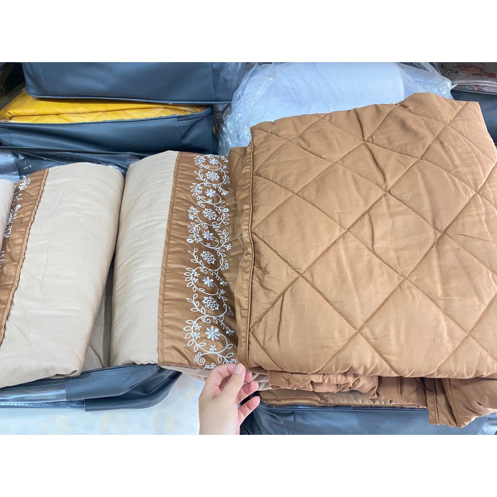 Bộ Drap chun chần EVERON MDSC046