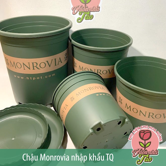 [Kèm đĩa lót]Chậu Monrovia hàng Nhập TQ- đủ size