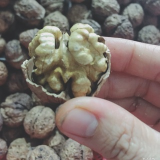 1kg Quả óc chó nếp Tây Bắc