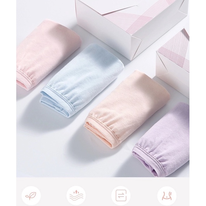 quần lót bầu cotton