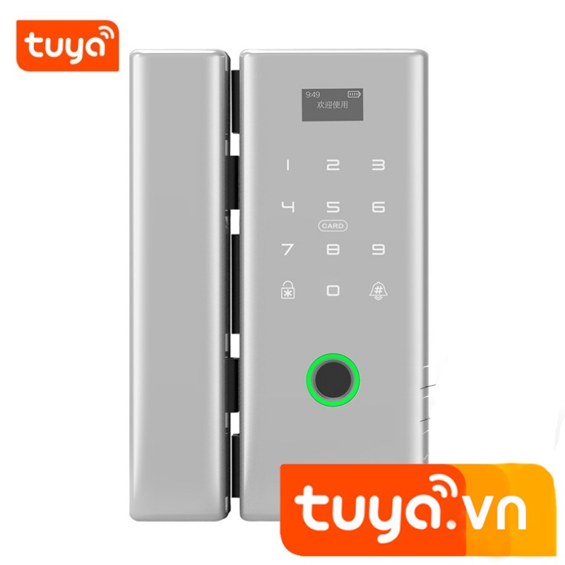 Khóa Cửa Kính Wifi Vân Tay Mã Số Thẻ Từ Điều Khiển Qua App Tuya SHP-DL8B