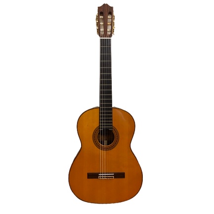 Guitar Classic Morris M-25