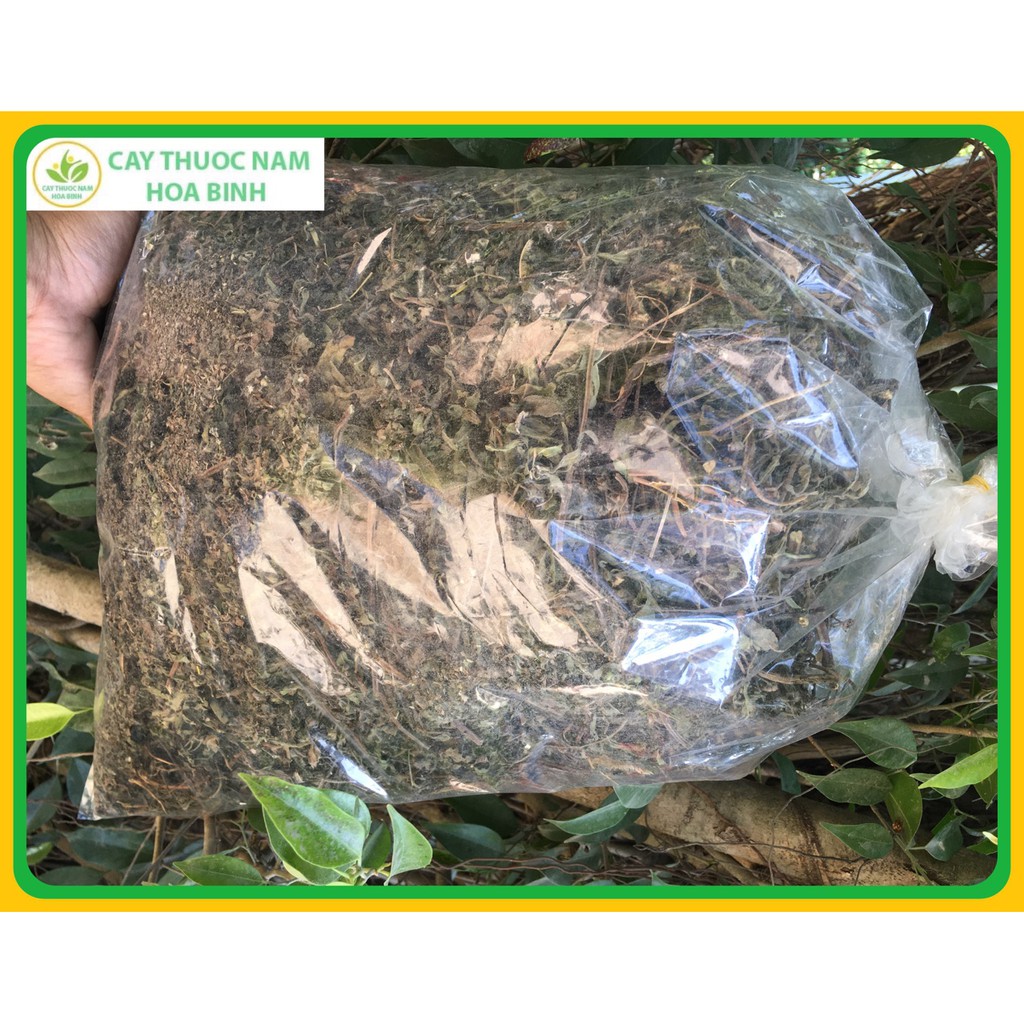1kg cỏ mực nhọ nồi (cành lá khô, sạch, mới)