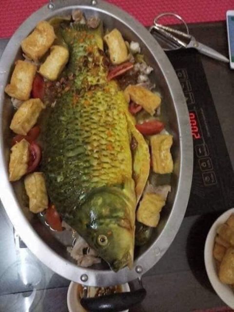[TIỆN VÔ CÙNG]Khay cá chép om dưa