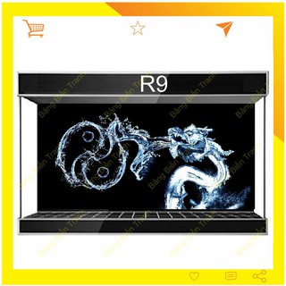 Tranh 3D dán bể cá mẫu rồng R9