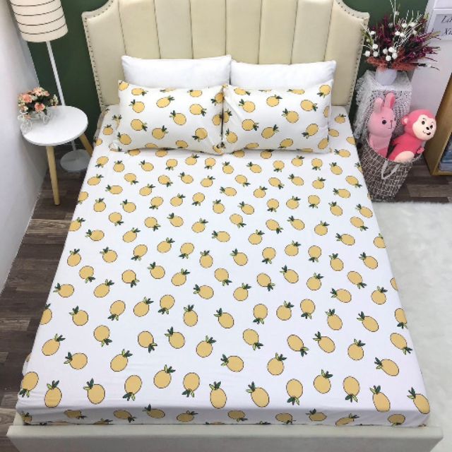 Bộ ga và vỏ gối cotton demi  đẹp mê ly , được chọn mẫu | BigBuy360 - bigbuy360.vn