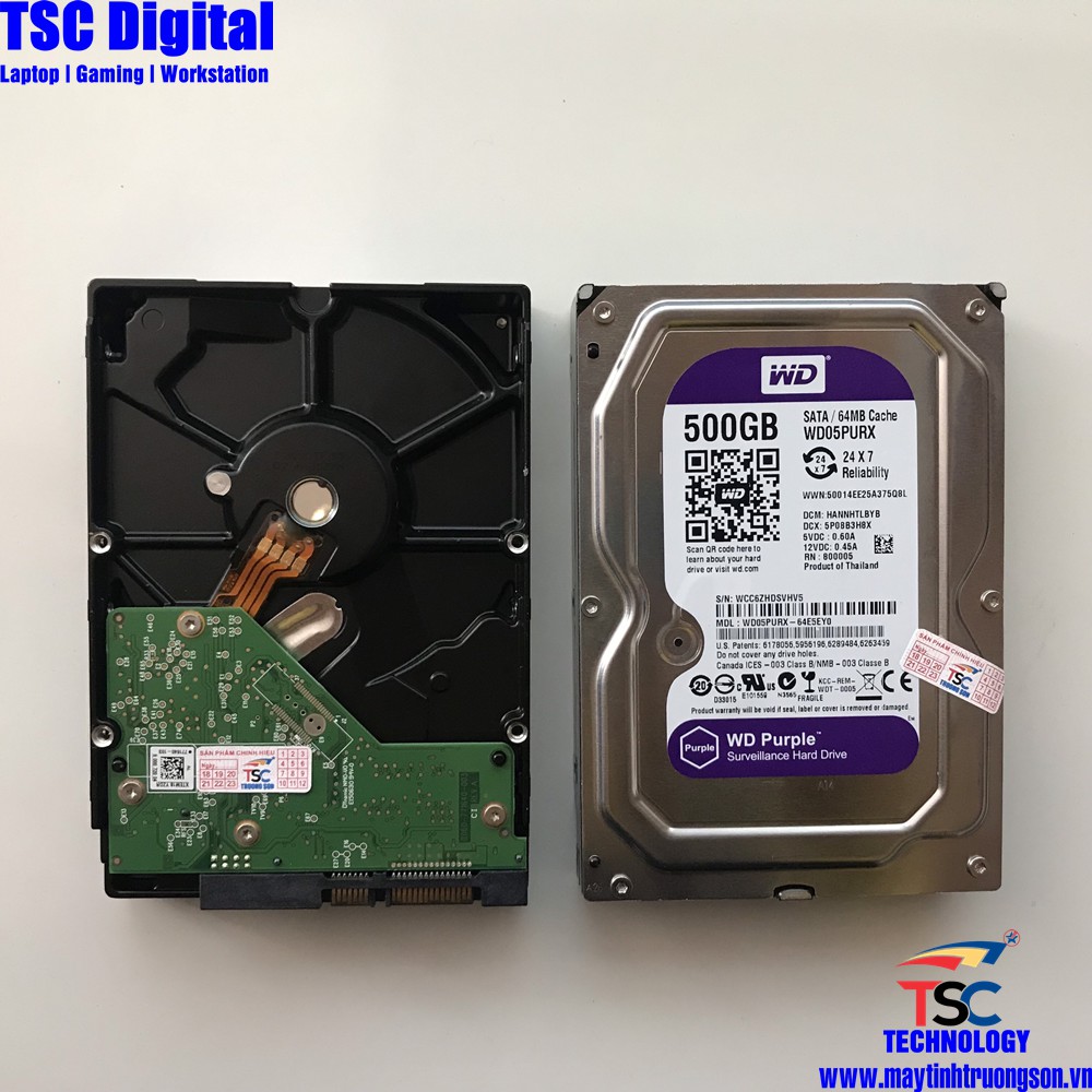 Ổ Cứng HDD 500Gb Western Purple (Tím) Dùng Cho Máy Tính Bàn Và Camera | Bảo hành 24 Tháng