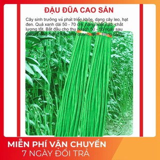 Hạt giống đậu đũa cao sản 20gram