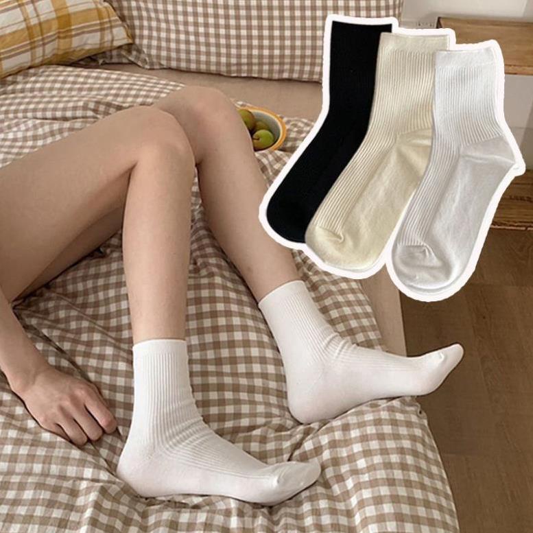 Vớ Màu Trơn Thời Trang Mùa Hè Xinh Xắn Cho Nữ