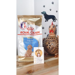 Thức ăn cho chó Poodle ROYAL CANIN POODLE PUPPY