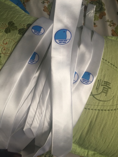 Cavat Hội LHTN Việt Nam