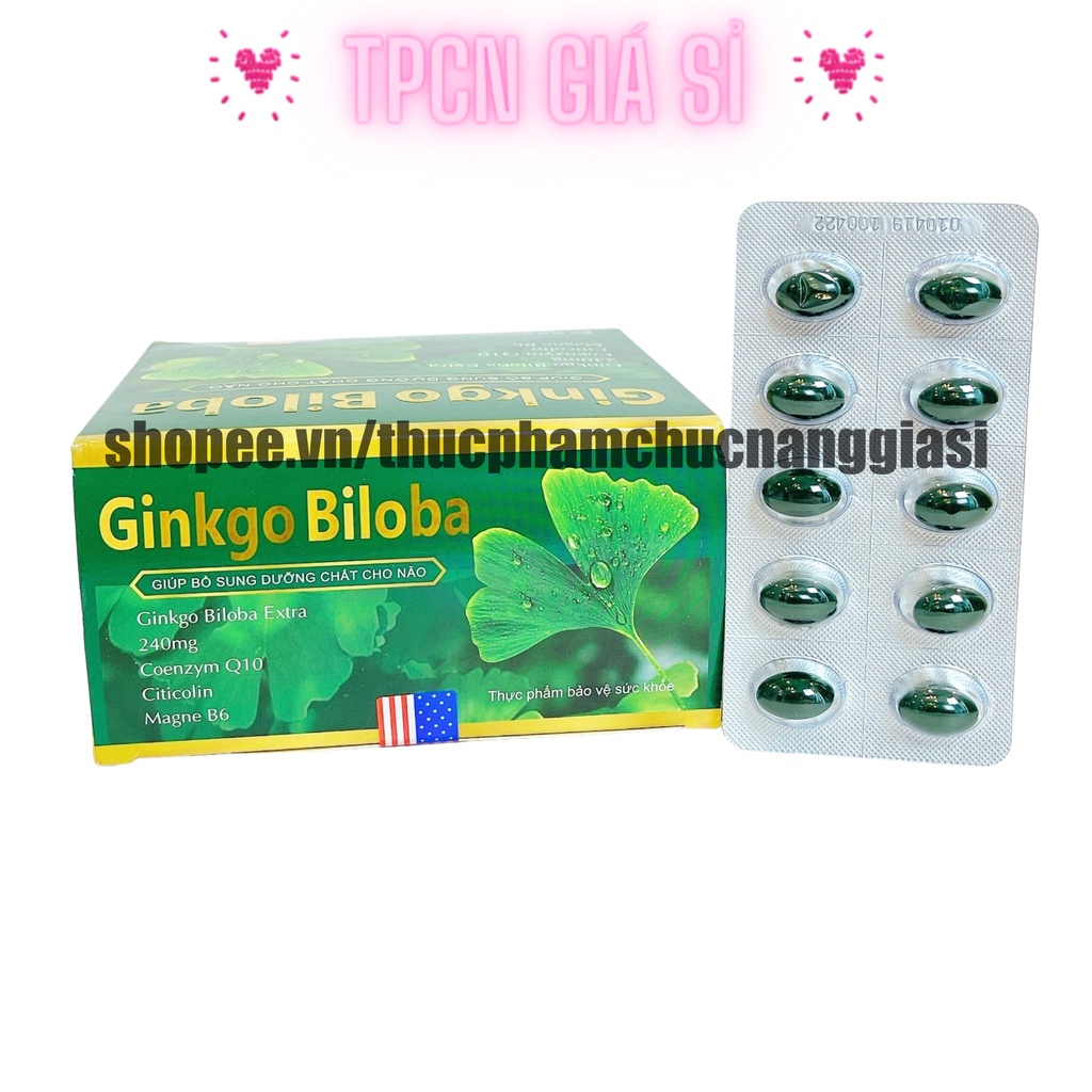 [Xanh] Viên uống bổ não GINKGO BILOBA 240mg giúp tăng cường trí nhớ, tăng tuần hoàn máu não, ngừa tai biến – HỘP 100v
