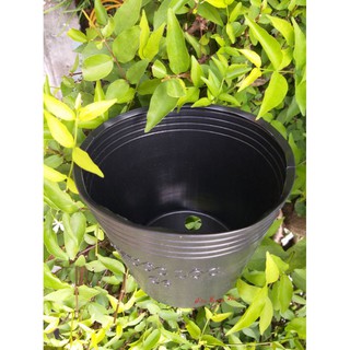 Chậu nhựa đen C6