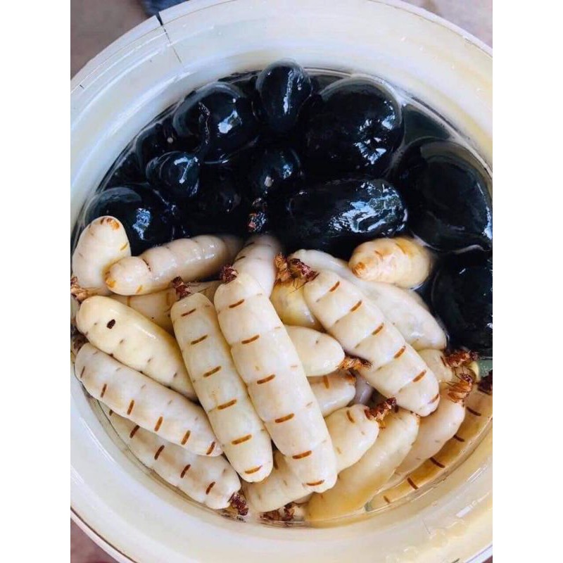 MỐI CHÚA NINH THUẬN 1 CON bổ sinh lí