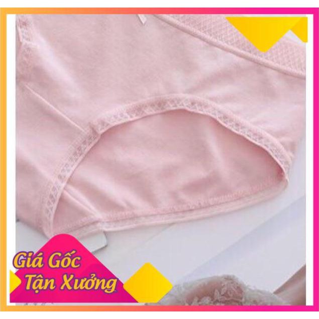 [SIÊU SALE] Quần Lót Cạp Lưới Cao Cấp