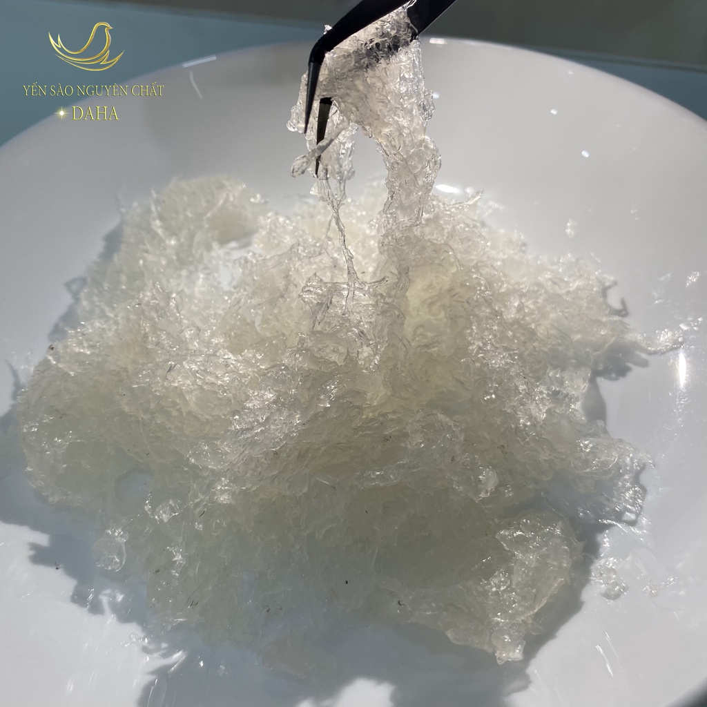 Tổ yến tươi nguyên chất (50-100g) - tặng kèm nguyên liệu nấu yến (táo đỏ, hạt sen, kỷ tử, đường phèn)