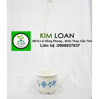 Combo 4 chậu treo Cát Tường 17x14cm