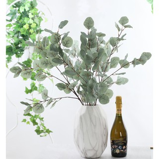 Nhành lá bạch đàn cao - Hoa giả