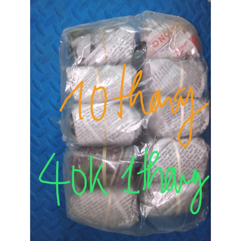 LÁ CHỮA MẤT SỮA 10 NGÀY 10 THANG