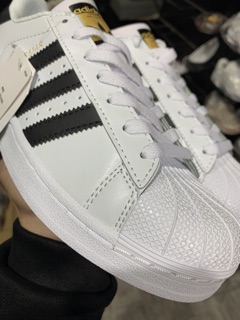 < VIDEO + ẢNH THẬT > GIÀY SNEAKER SÒ TEM VÀNG