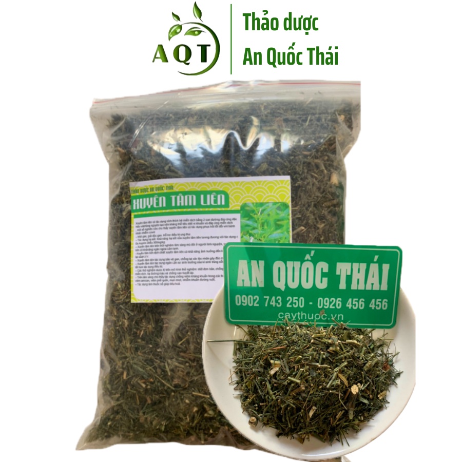 1kg Xuyên Tâm Liên Khô Hạ Sốt, Hỗ Trợ Người Bệnh Phổi, Cây Xuyên Tâm Liên Trừ Ho, Đau Rát Họng