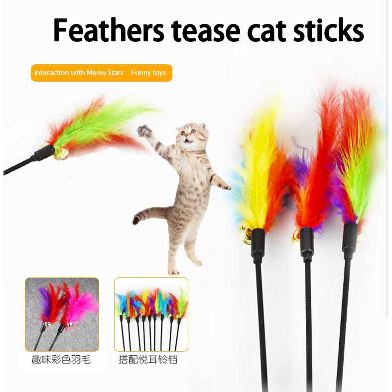 Đồ chơi que lông vũ có chuông tương tác cho mèo cưng