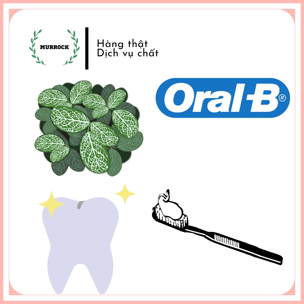 3 bàn chải Oral-B Easy Clean Black #7