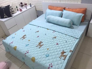 Bộ chăn đũi hè