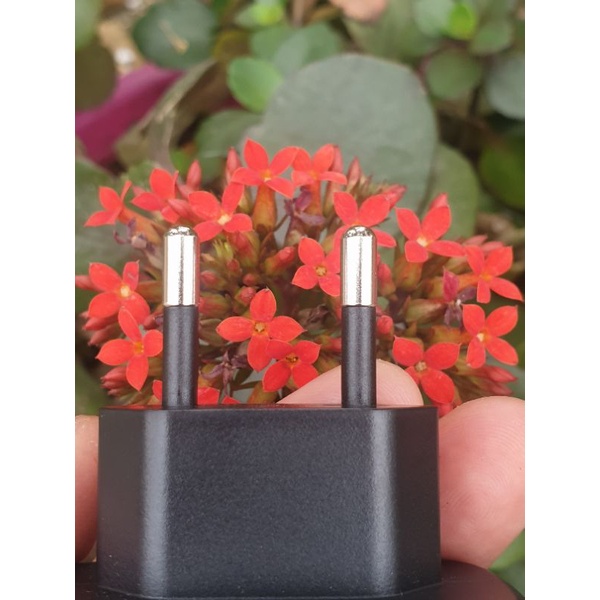 Củ sạc nhanh Samsung 45W chuẩn PD - Samsung Note10/Note 10 Plus/S20 -Hàng Chính Hãng