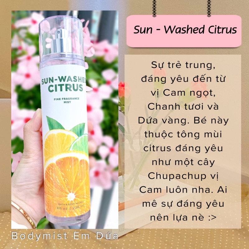 Xịt Thơm Toàn Thân - SUNWASHED CITRUS