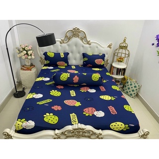 Bộ ga thun❤️Freeship❤️drap giường trái dâu 4 món