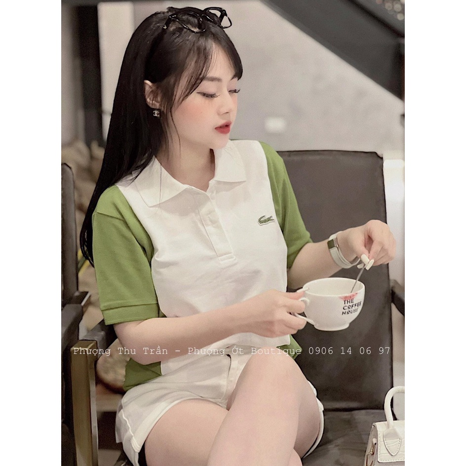 [ 𝐅𝐑𝐄𝐄 𝐒𝐇𝐈𝐏 ] ÁO POLO PHỐI MÀU THEEY HÌNH CÁ SÂU CHẤT ĐẸP LĂM Ạ