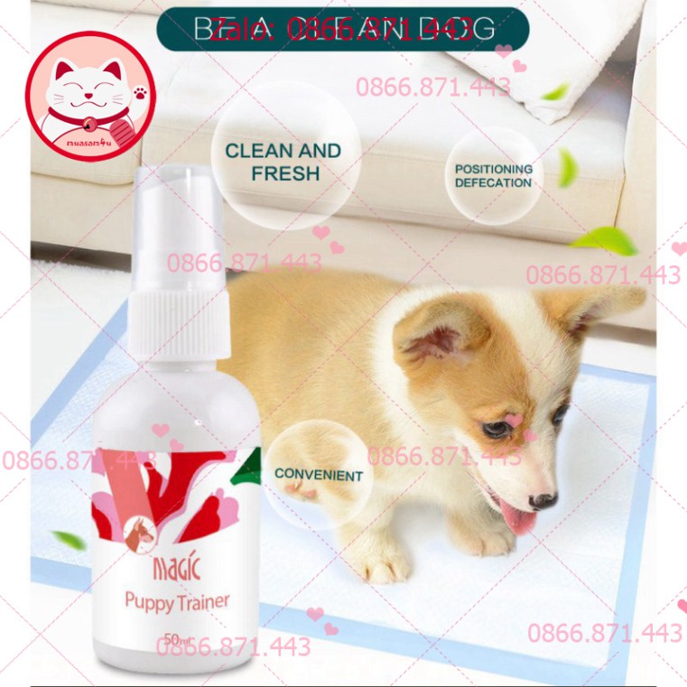 ⚡𝐅𝐑𝐄𝐄𝐒𝐇𝐈𝐏⚡ Nước Xịt Hướng Dẫn Chó Đi Vệ Sinh Đúng Chỗ Magic Puppy Trainer 5.0