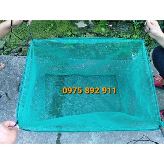 Lồng cá đẻ GUPPY