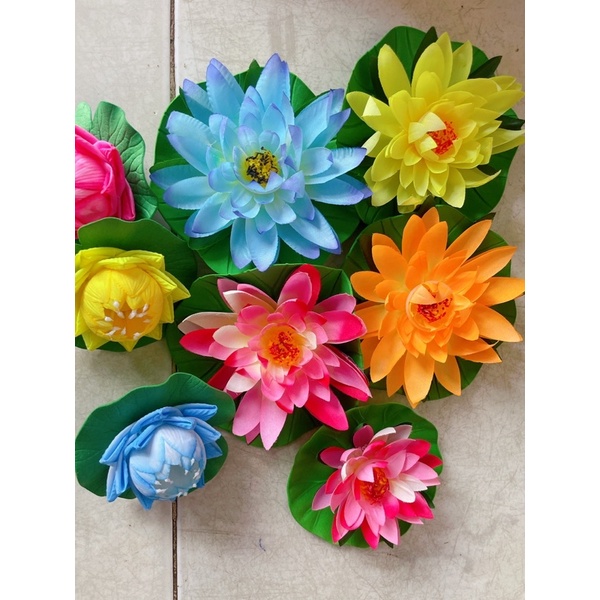 hoa sen thái hoa súng thái thả nước , thả bát nước minh đường tụ thuỷ