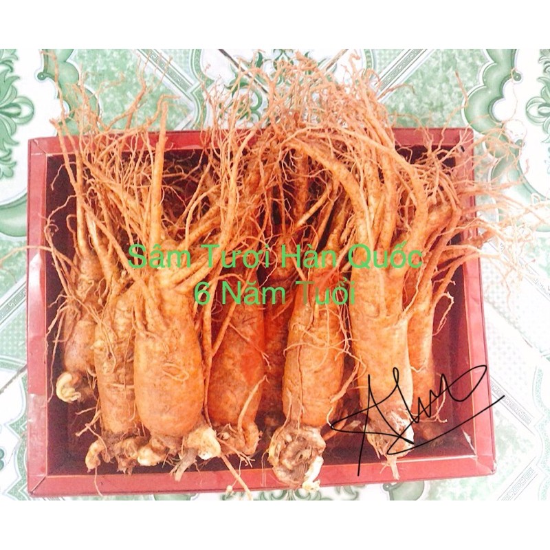Nhân sâm tươi Hàn Quốc size 6 củ 1kg Giá 359k /1Củ To. | BigBuy360 - bigbuy360.vn