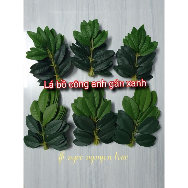 Combo 3 bó Lá bồ anh gân xanh
